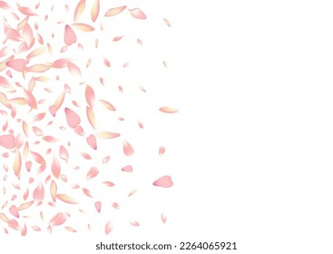 Purple Rose Petal Vector White Background. Pink 3d Lotus Petal Poster. Sakura Petal Wedding Pattern. Invitation Flower Petal Frame.