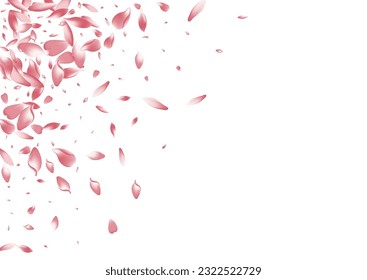 Purple Rose Petal Vector White Background. White Blossom Flower Petal Congratulation. Sakura Petal Fly Poster. March Cherry Petal Product.