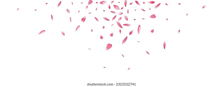 Purple Rose Petal Vector White Background. Pink Spa Cherry Petal Poster. Lotus Petal Soft Template. Fall Sakura Petal Backdrop.