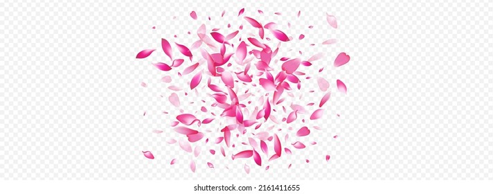 Purple Rose Vector Panoramic Transparent Background. Peach Isolated Card. Blooming Beauty Texture. Heart Flutter Backdrop. Pink Sakura Flying Design.