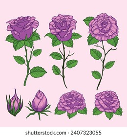 Purple Roses Flower Hand Drawn Collection