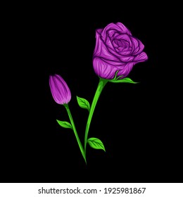 Purple Roses Flower Vector isolated on Blank Background