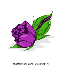 Purple Roses Vector Isolated on White Background