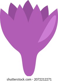 Purple saffron flower, illustration, vector, on a white background.