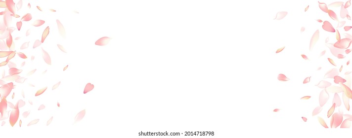 Purple Sakura Petal Vector Panoramic Background. White Modern Rose Petal Template. Peach Petal Floor Congratulation. Springtime Apple Petal Poster.