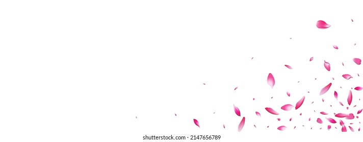 Purple Sakura Petal Vector Panoramic Background. Transparent Realistic Flower Petal Banner. Rose Petal Romance Texture. Invitation Apple Petal Pattern.
