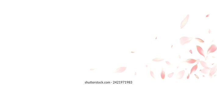 Purple Sakura Petal Vector Panoramic Background. Pink Soft Lotus Petal Pattern. Rose Petal March Poster. Flying Flower Petal Illustration.