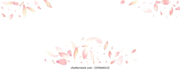 violetter Sakura-Petal-Vektorweißer Hintergrund. rosafarbene rosafarbene Pfirsichblattrahmen. Blumenkohl, floraler Koffer. Blumenmuster Lotus Petal Muster.