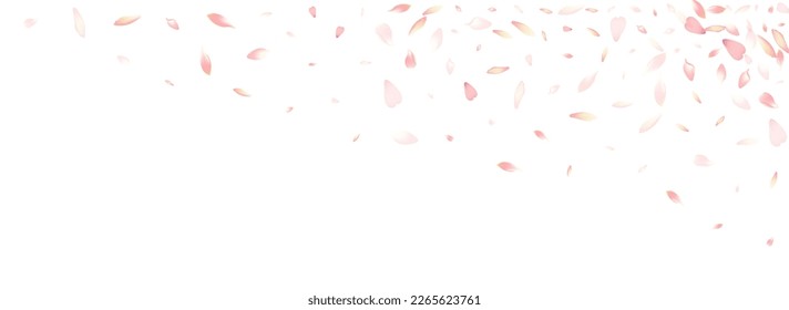 Purple Sakura Petal Vector White Background. White Summer Rose Petal Texture. Cherry Petal Delicate Illustration. Springtime Apple Petal Congratulation.