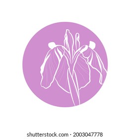 Purple silhouette of iris flower in purple circle. Vector illustration.