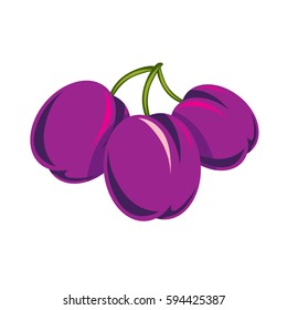 Purple simple vector plum, ripe sweet fruits illustration. Healthy and organic food, harvest season symbol. 