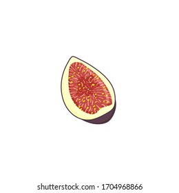 Purple slice fig fruit, isolated on white background. Vector flat illustration.
