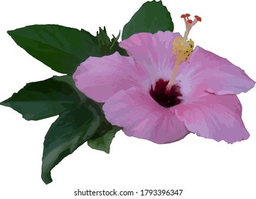 Purple small beautiful flower on white background
