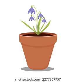 purple snowdrop in a pot on a transparent background. vector illustration