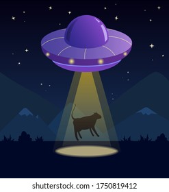 Purple space ship  UFO, yellow ray of light kidnaps a cow. Vector isolated illustration in cartoon style. Concept for World UFO day.