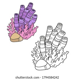 Purple sponge and pink coral coloring book linear drawing isolated on white background