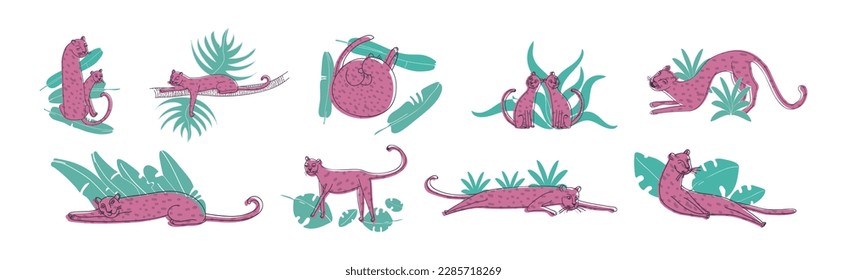 Purple Spotted Leopard Near Tropical Foliage Vector Set