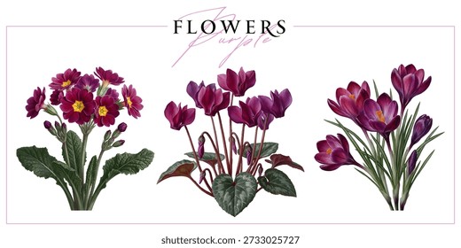 Purple spring flowers isolated on a white background. Vintage painting style illustration.