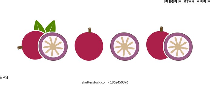 Purple star apple logo. Isolated purple star apple on white background