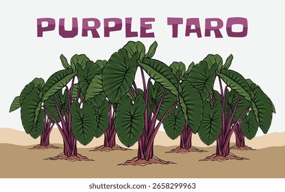 Ilustración vectorial de árbol de Taro púrpura
