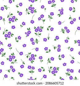 Flor morada en fondo blanco. Patrón sin foco con flor.