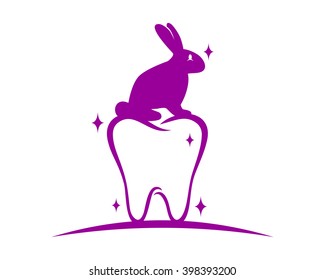 purple tooth dental rabbit  hare rabbit fauna image
