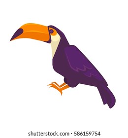 Purple toucan bird with long beak big exotic bird isolated on white. Side view of brightly marked toucan with large bill vector illustration isolated bird icon with dark violet feather in flat design.