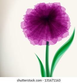 Purple transparent flower