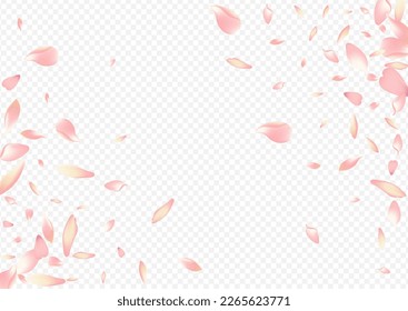 Purple Tree Vector Transparent Background. Flower Romantic Congratulation. Sakura Rain Backdrop. Blossom Garden Banner. Color Rosa Invitation Cover.