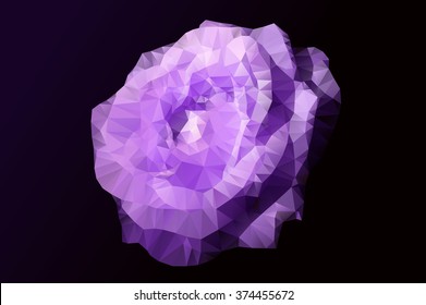 Purple triangle rose
