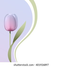 Purple tulip flower with some lines illustration. Vector card for greetings