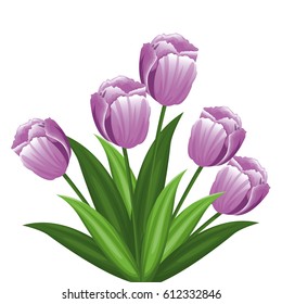 purple tulip flowers decoration