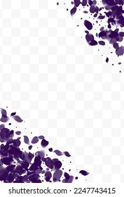 Purple Tulip Spring Vector White Transparent Background. Beauty Blossom Template. Delicate Floral Dutch Design. Beautiful Flower Fall Yellow.