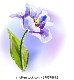 Purple tulip, watercolor painting.