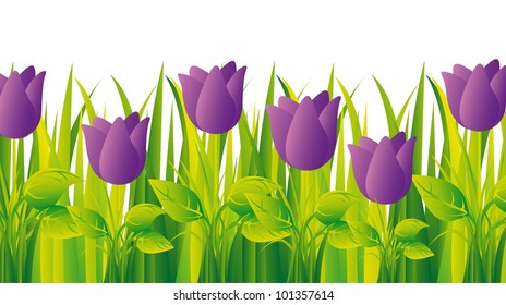 purple tulips with grass over white background. vector illustration