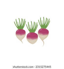 Logotipo de iluminación con vectores de turnip morado