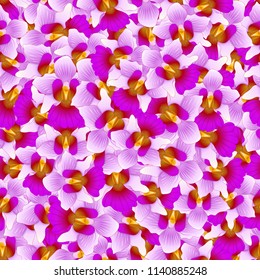 Purple Vanda Miss Joaquim Orchid Seamless Background. Singapore National Flower. Vector Illustration.