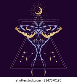 Purple vector illustration of moon moth. For print for T-shirts and bags, decor element. Mystical and magical, astrology illustration