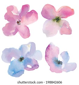 Purple Vector Watercolor Flowers