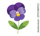 Purple Viola Flower Displayed on White