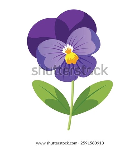 Purple Viola Flower Displayed on White