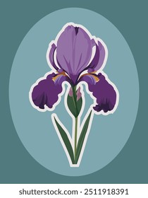 Purple violet iris flower vector flat sticker style with blue background. Elegant garden flora botanical vintage icon graphic illustration. 붓꽃 아이리스