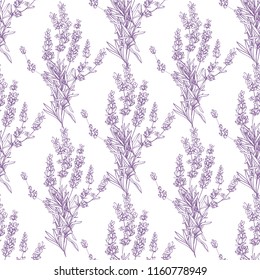 Purple violet outline floral seamless with lavender bouquet. Vintage sketch. Botanical illustration on white background. Vector pattern or card design.