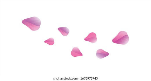 Purple Violet Pink flying petals isolated on White background. Sakura Roses petals. Vector EPS 10 cmyk