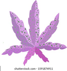 Purple Kush Images Stock Photos Vectors Shutterstock