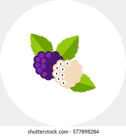 Purple and White Mulberries Icon