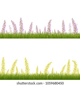 Purple And Yellow Flowers On The Grass.
Vector Illustration.