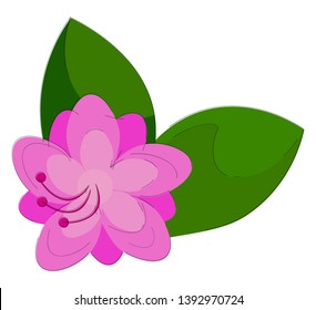 Purple-colored azalea flowers  vector