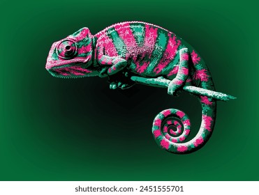 Purple-green chameleon on a tinted background in five colors