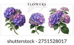 Purple-pink hydrangea flowers isolated on a grey background. Vintage painting style illustration.